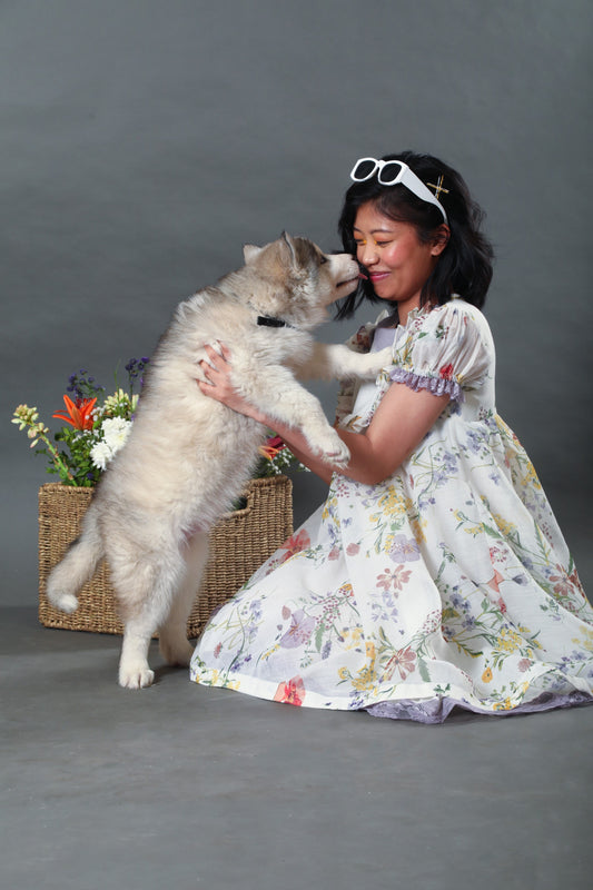 Daphne Peter Pan Collar Dress